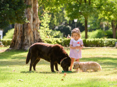 manufrias-fotografo-profesional-sevilla-sesion-familiar