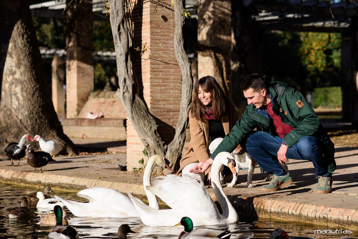 manufrias-fotografo-profesional-perros-sevilla