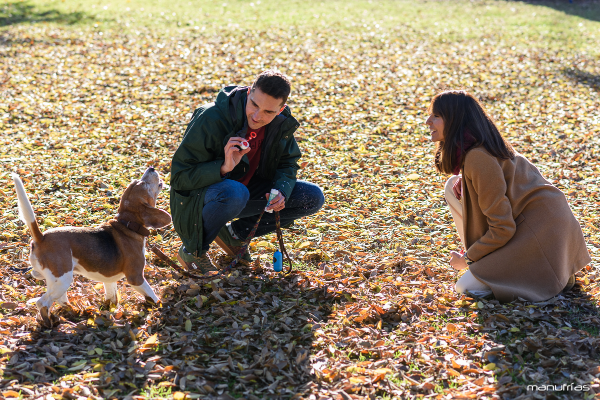 manufrias-fotografo-profesional-perros-sevilla