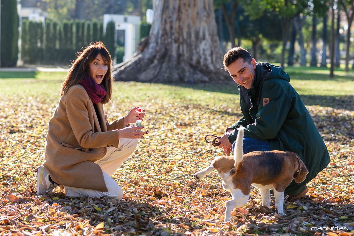 manufrias-fotografo-profesional-perros-sevilla