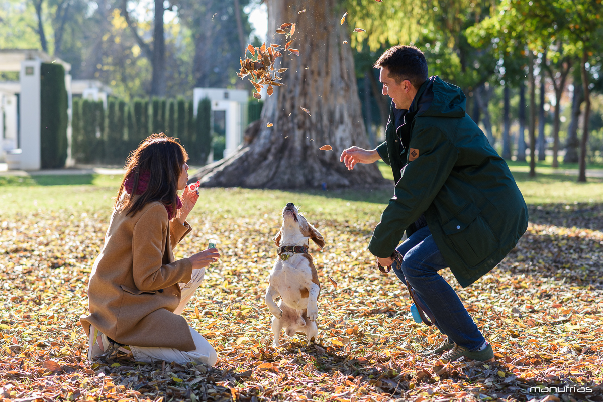 manufrias-fotografo-profesional-perros-sevilla