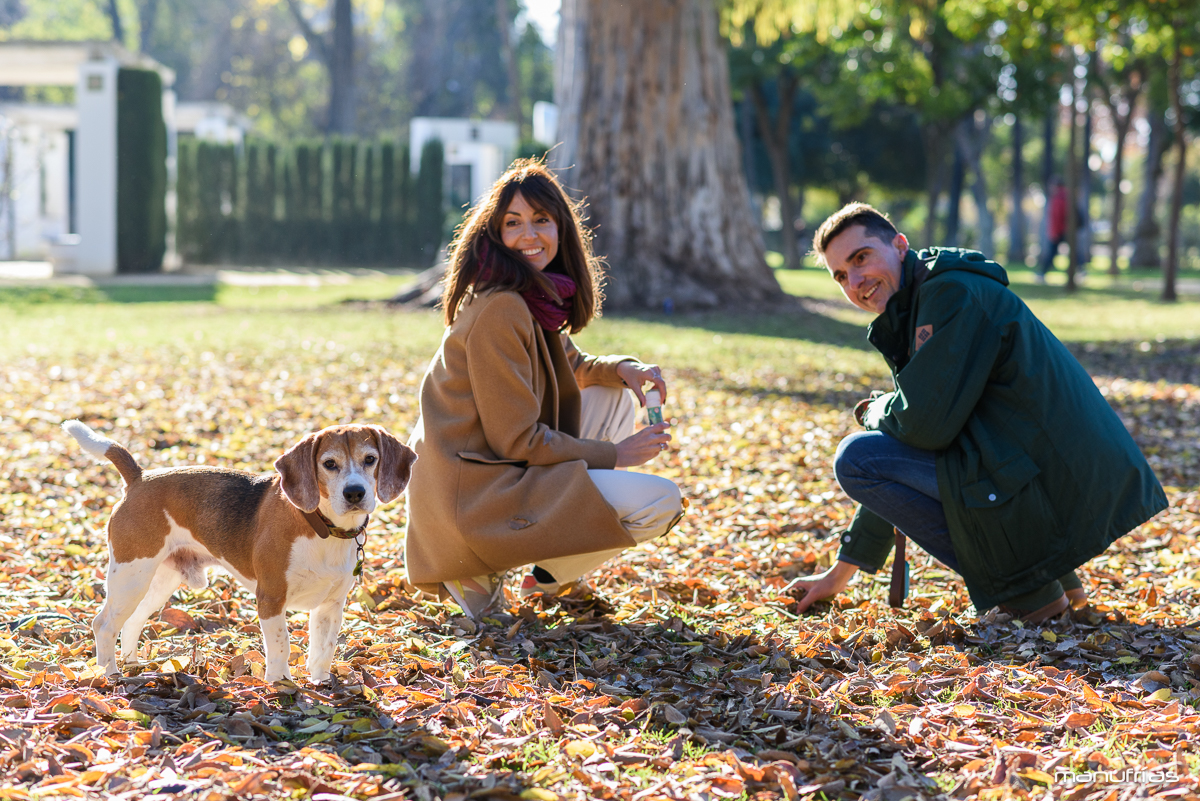 manufrias-fotografo-profesional-perros-sevilla