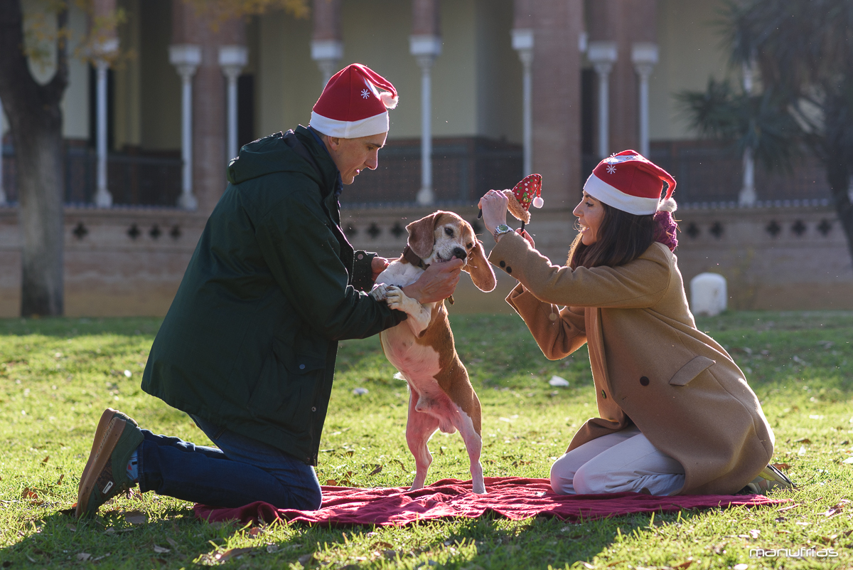 manufrias-fotografo-profesional-perros-sevilla