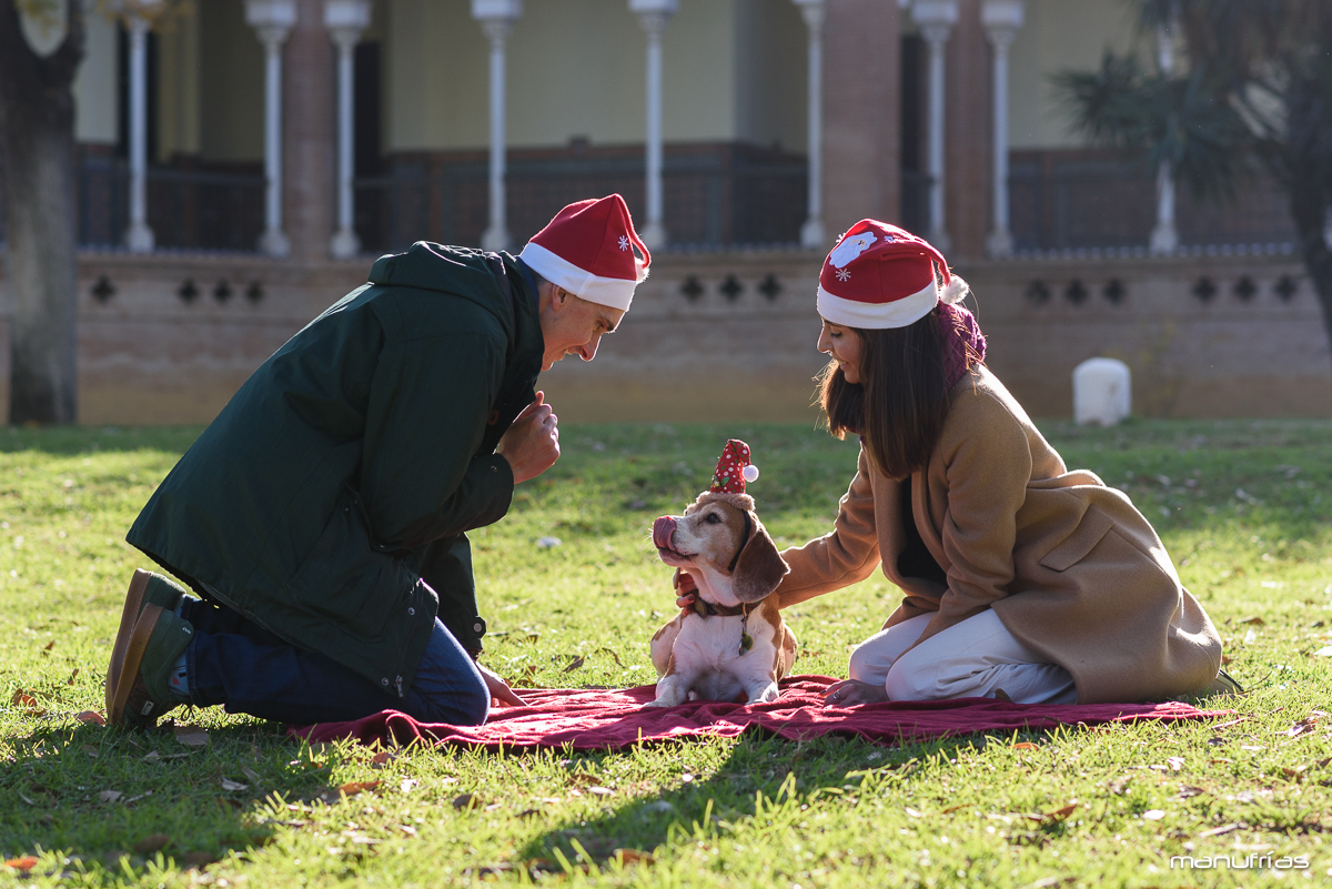 manufrias-fotografo-profesional-perros-sevilla