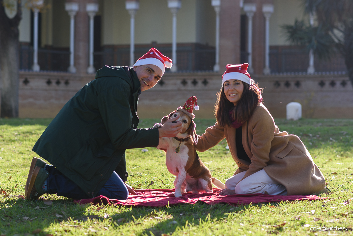 manufrias-fotografo-profesional-perros-sevilla